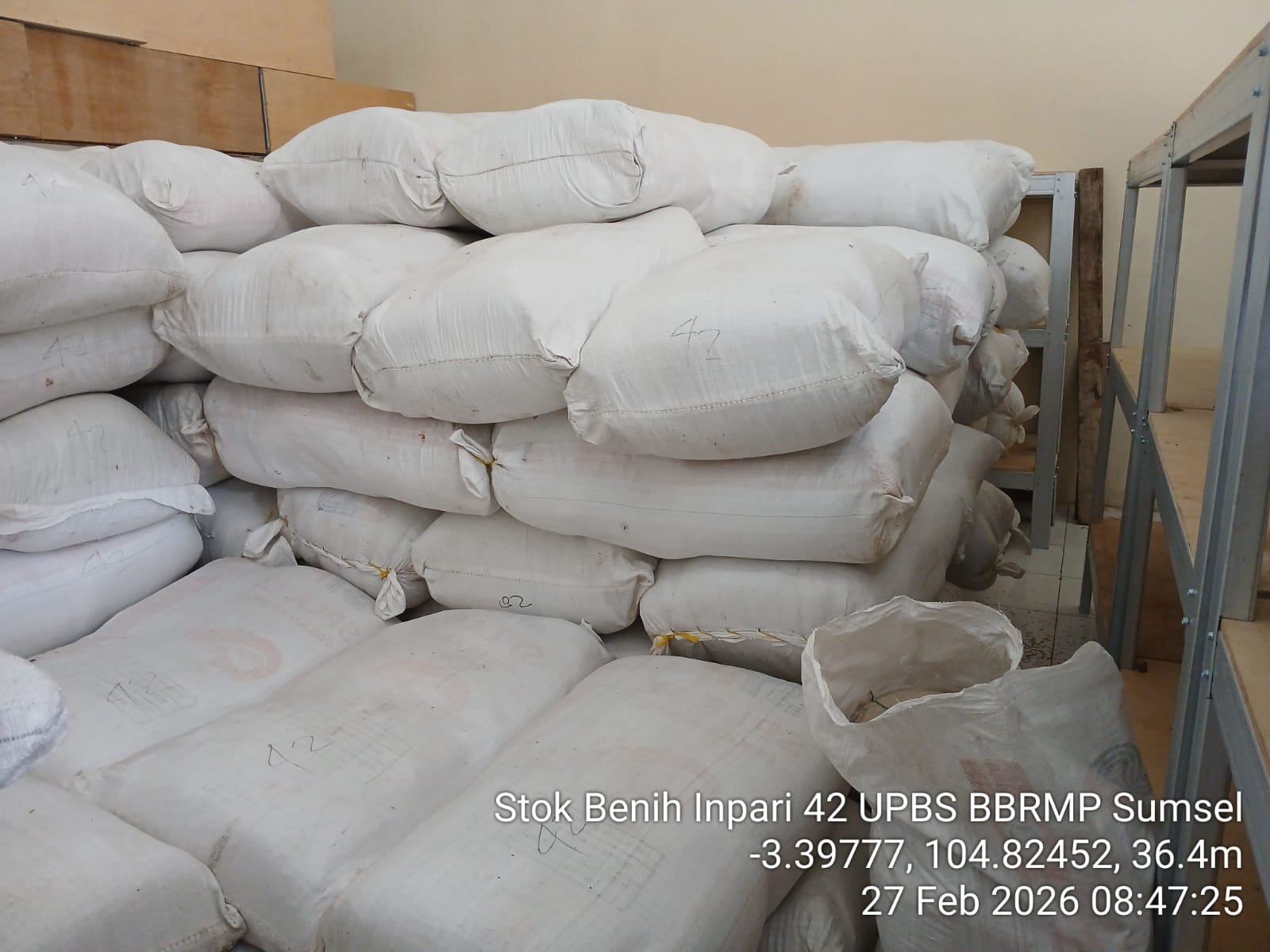 Drying Rice 1