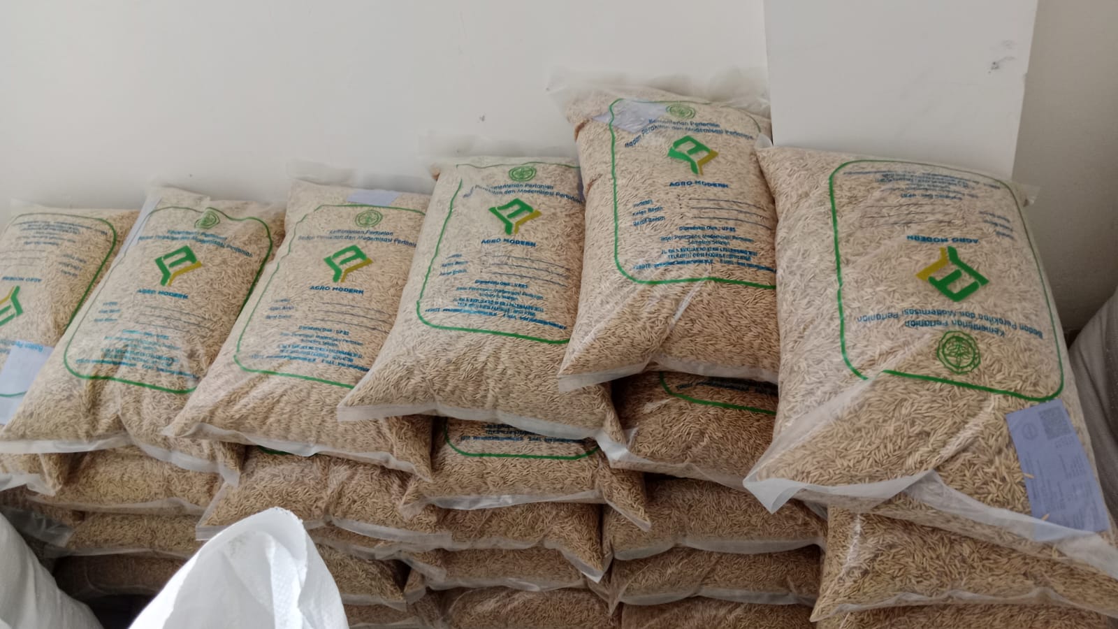 Drying Rice 2