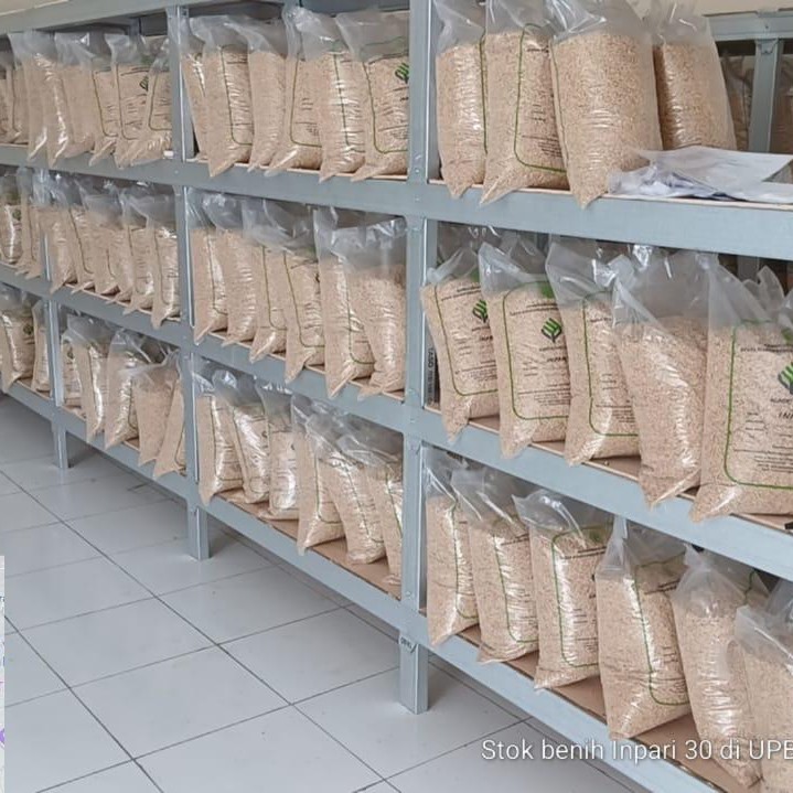 Seed Preparation